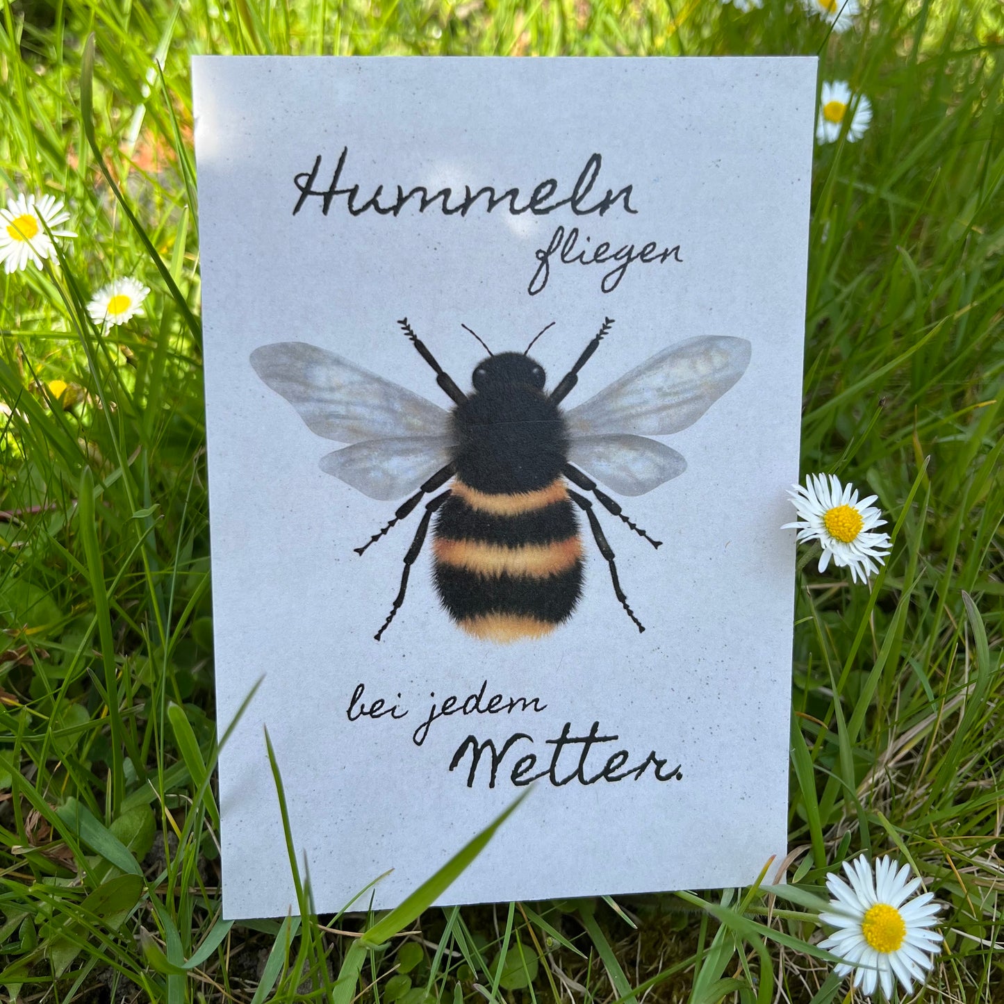 Hummeln fliegen bei jedem Wetter.